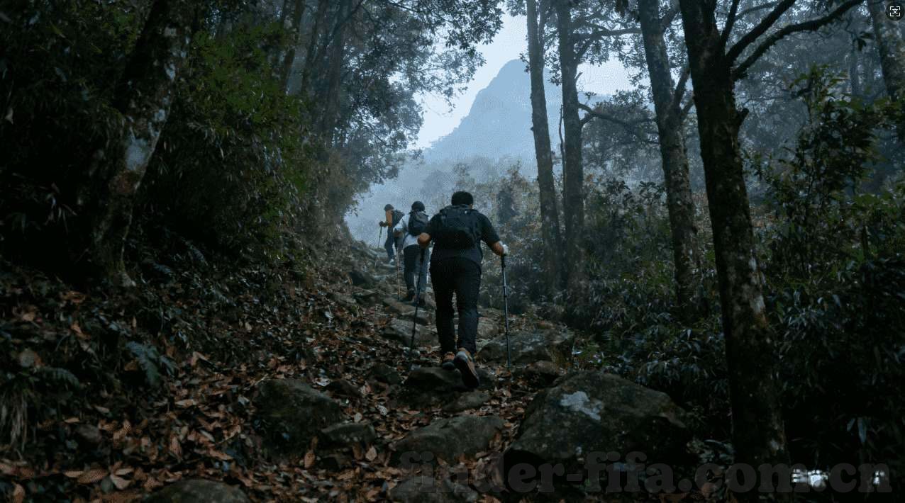 世界杯投注怎么算中奖-世界杯投注中奖计算指南，掌握关键要素，提升中奖几率